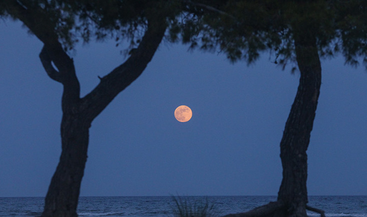 Η ΠΡΩΤΗ ΠΑΝΣΕΛΗΝΟΣ ΤΟΥ ΙΟΥΝΙΟΥ ΑΠΟ ΤΙΣ ΑΚΤΕΣ ΤΗΣ ΑΡΤΕΜΙΔΑΣ
