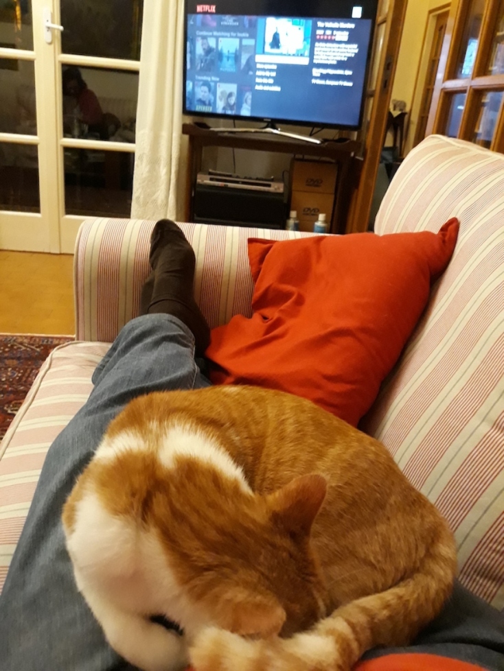 #menoumespiti με την Athens Voice: Ο συγγραφέας Αλέξης Πανσέληνος περιγράφει μία μέρα στο σπίτι, εν μέσω πανδημίας κορωνοϊού.