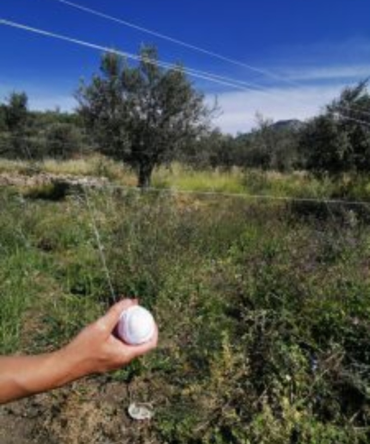 Αιμιλία Παπαφιλίππου, "Ιεροί λόγοι / COVID-19" στο μικρό θέατρο της Αρχαίας Επιδαύρου