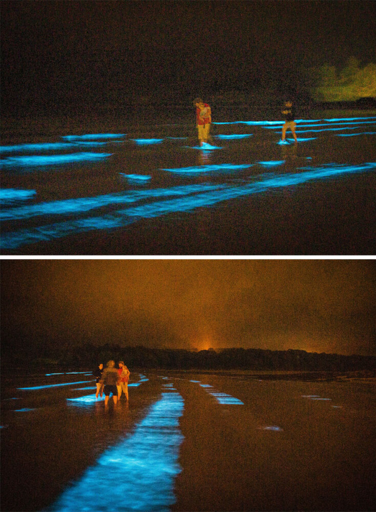 Άνθρωποι κάθε ηλικίας απολαμβάνουν τη θαλάσσια «ντίσκο» σε παραλία της Ιρλανδίας, που δημιούργησαν το πλαγκτόν και τα φύκια