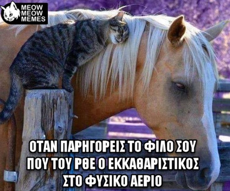 Αστεία memes, ατάκες, YOLO βίντεο, virals που ανέβηκαν στο διαδίκτυο και μας έκαναν να γελάσουμε