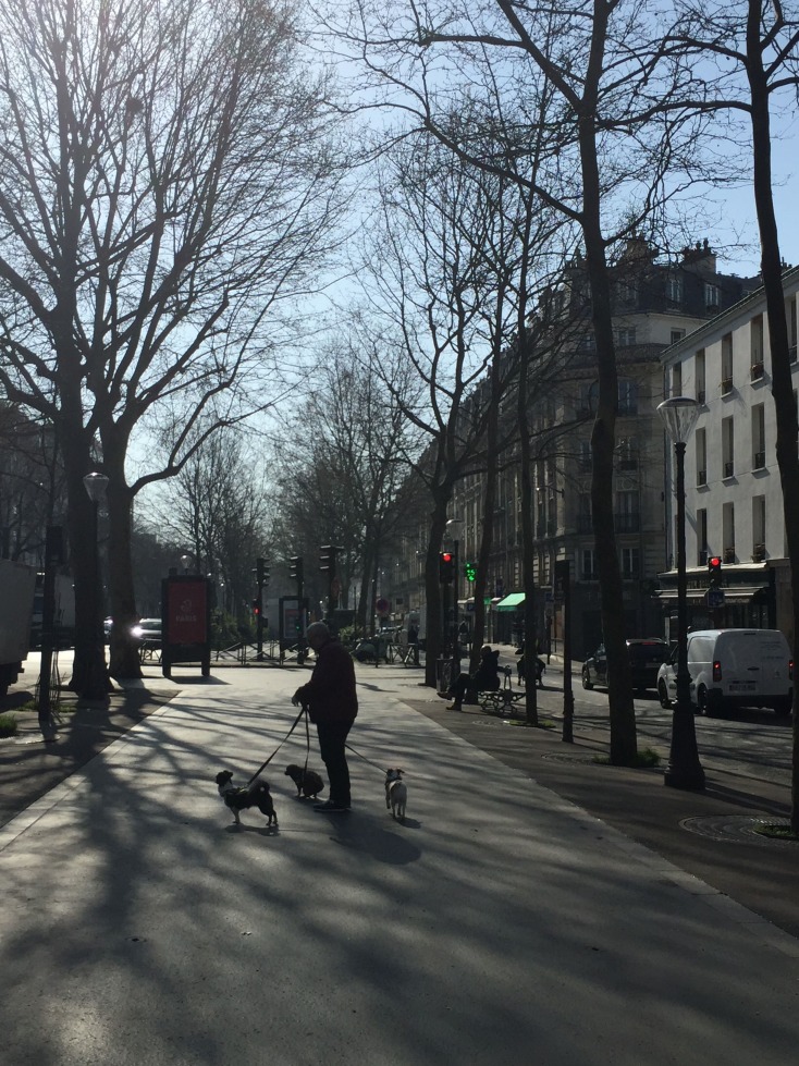 Παρίσι-Κορωνοϊός-Εικόνες