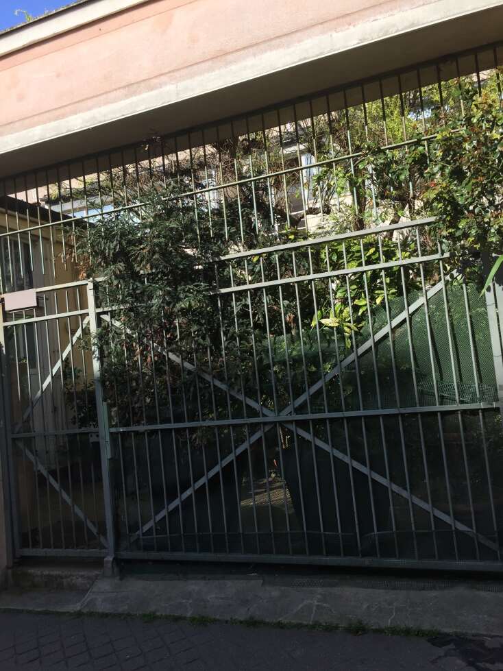 Παρίσι-Κορωνοϊός-Εικόνες