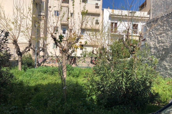 Το πριν του πάρκου στον Άγιο Αρτέμιο