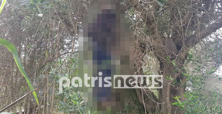 Μακάβριο: Άνδρας βρέθηκε κρεμασμένος σε δέντρο στον Πύργο