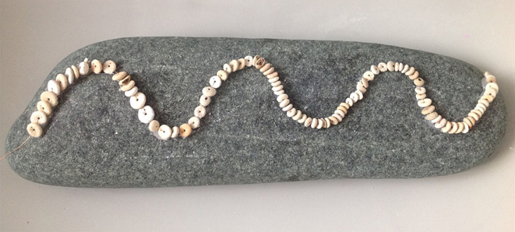 Πέτρα με αχινό