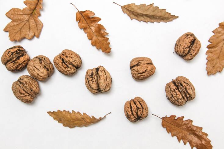 walnuts