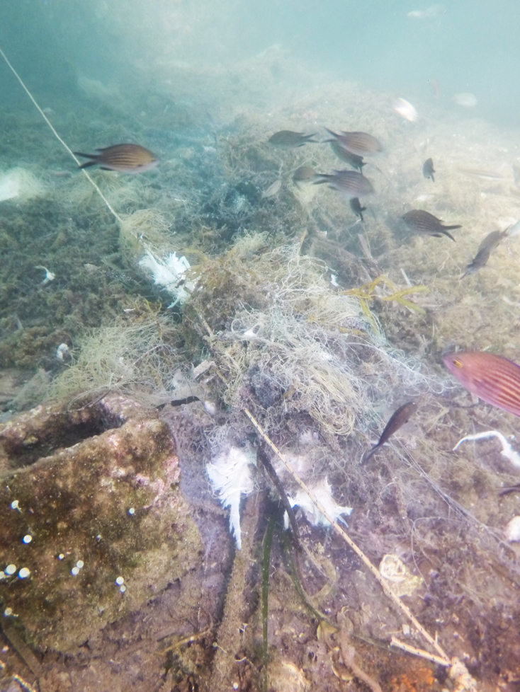 Το DIXAN «βούτηξε στα βαθιά» και καθάρισε 8 υποθαλάσσιες και παράκτιες περιοχές και συνεχίζει με το περιβαλλοντικό πρόγραμμα «Καθάρισε σε Βάθος».