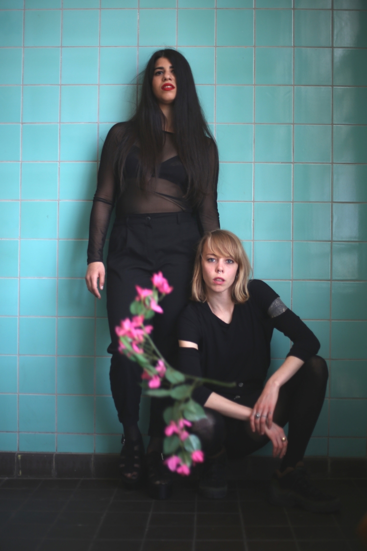 Venus Volcanism &amp; In Atlas 