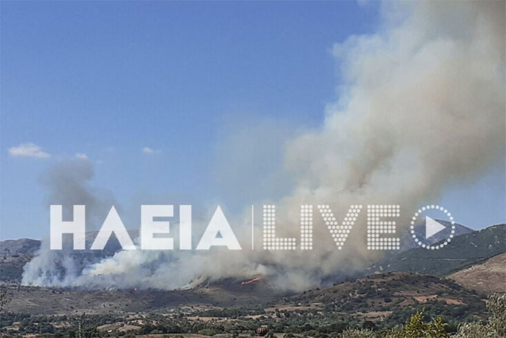 Μεγάλες διαστάσεις έχει λάβει η φωτιά στην περιοχή της Αρχαίας Ολυμπίας στην Ηλεία