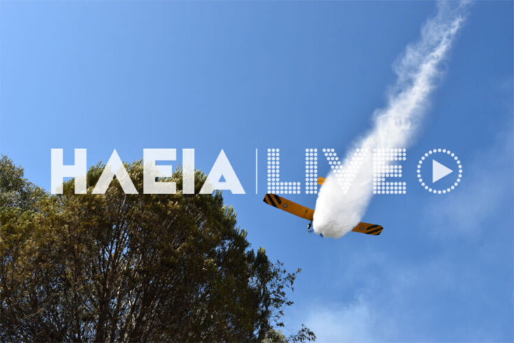 Δασική πυρκαγιά στην Ηλεία: Αεροσκάφη ρίχνουν νερό σε εστίες στο δάσος των Θινών στο Βαρθολομιό