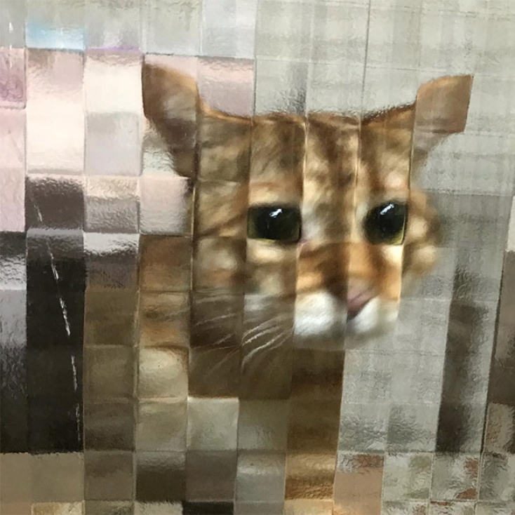 pixelated-cats14.jpg