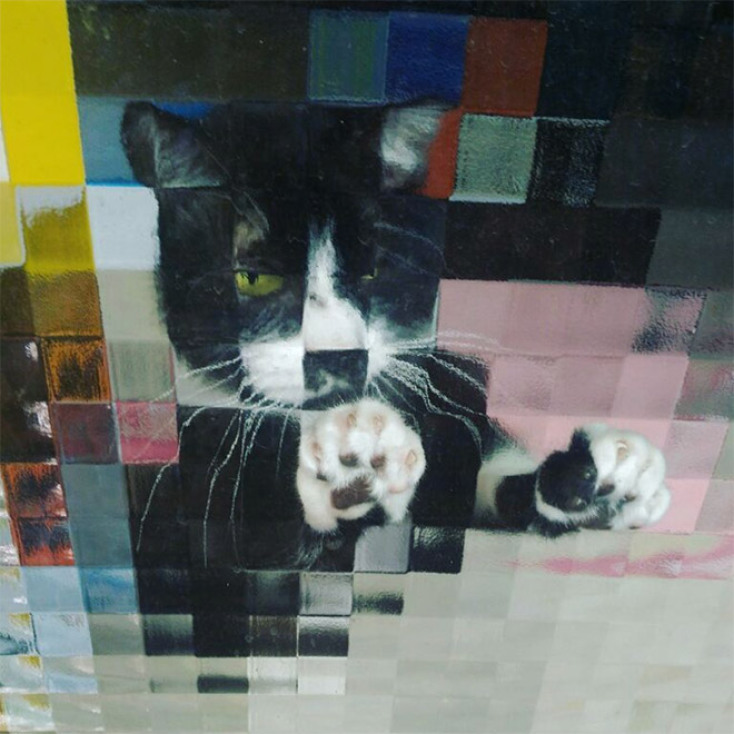 pixelated-cats17.jpg
