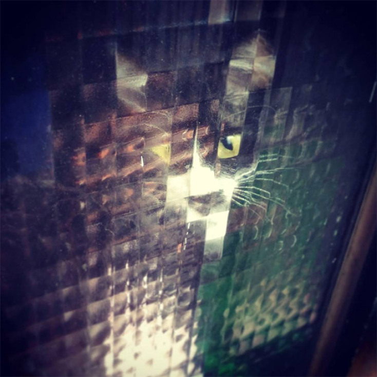 pixelated-cats19.jpg