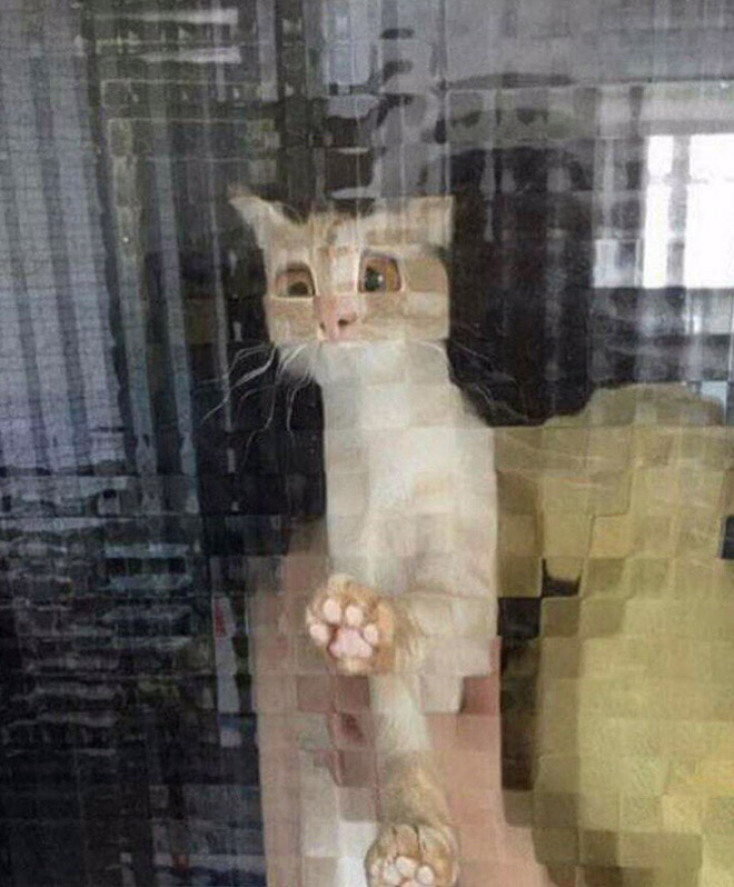 pixelated-cats3.jpg