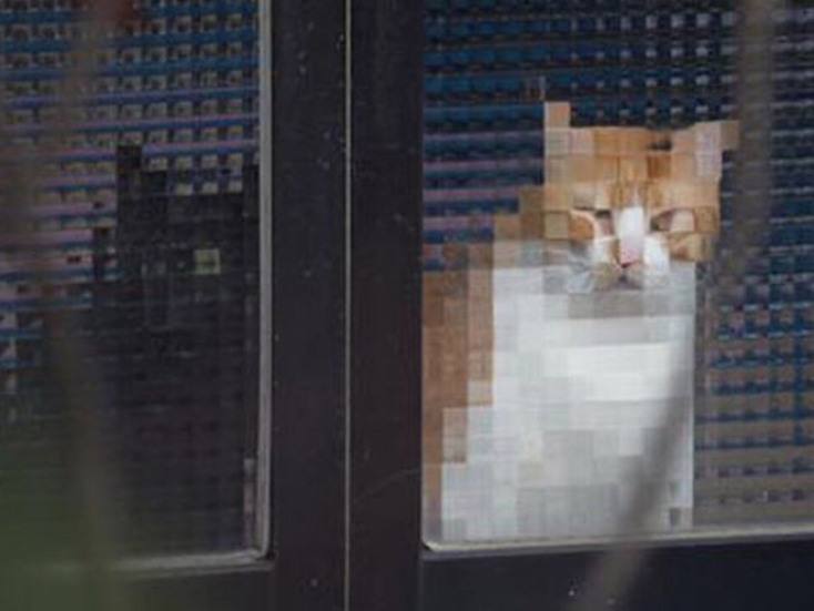 pixelated-cats4.jpg