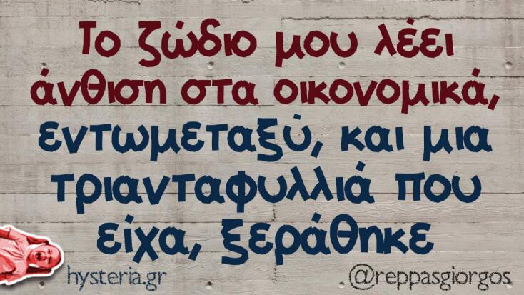 Αστεία memes, ατάκες, YOLO βίντεο, virals που ανέβηκαν στο διαδίκτυο και μας έκαναν να γελάσουμε