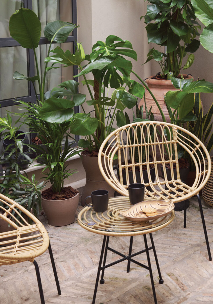 Καρέκλες και τραπέζι μπαμπού και πράσινα φυτά από πίσω