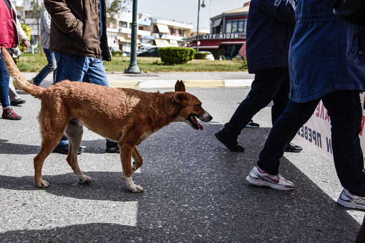 Πορεία διαμαρτυρίας στην Πρέβεζα στο πλαίσιο της 24ωρης γενικής απεργίας των ΓΣΕΕ - ΑΔΕΔΥ σήμερα Τετάρτη 6 Απριλίου 2022