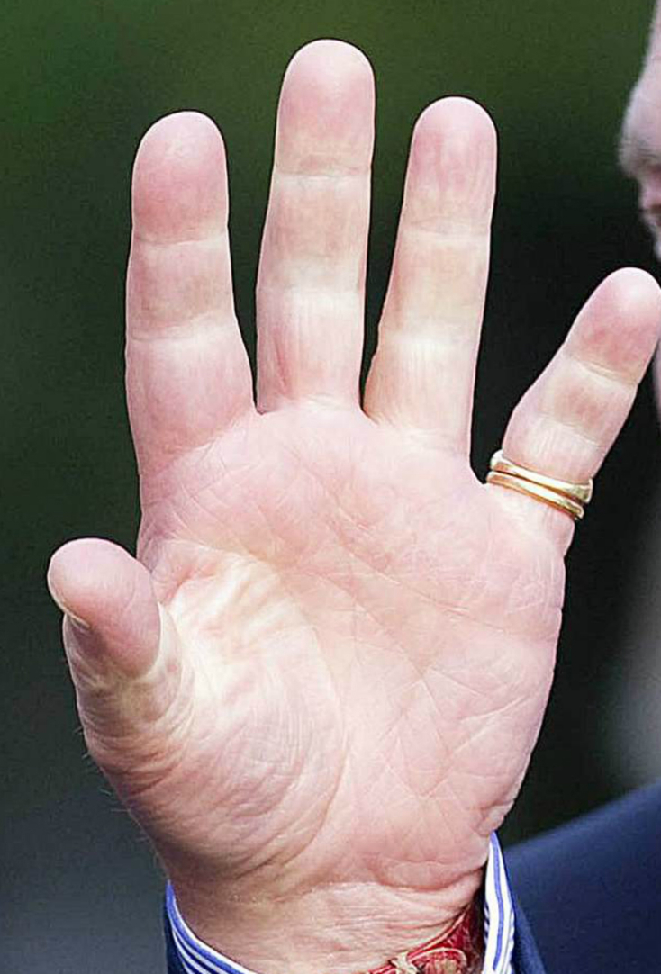 prince_charles_palm.jpg