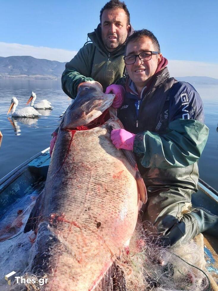 Αστέριος και Κωνσταντίνος Χρυσανίδης - Τα δύο αδέλφια ψαράδες που έπιασαν το ψάρι γίγας στη λίμνη Βόλβη Θεσσαλονίκης