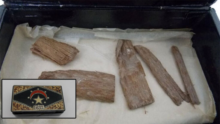 Τα σπάνια ξύλα, ηλικίας 5.000 ετών, από τη Μεγάλη Πυραμίδα της Γκίζας στην Αίγυπτο | Ένθετη: Το κουτί πούρα μέσα στο οποίο βρέθηκαν στη Σκωτία