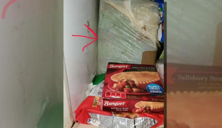 Το κουτί με το μακάβριο περιεχόμενο