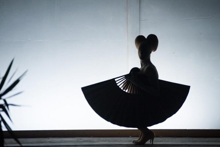 53Α ΔΗΜΗΤΡΙΑ