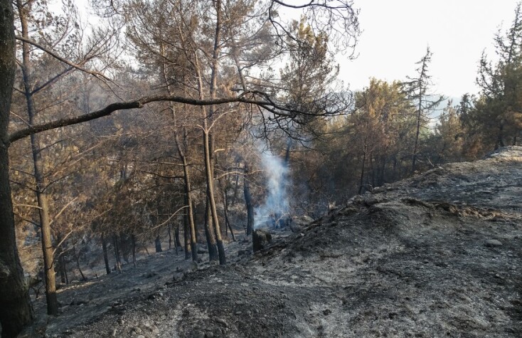 Στιγμιότυπο από την πυρκαγιά στην Ρόδο © EUROKINISSI
