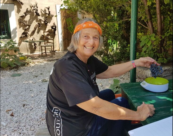 Σαββατιανό Μάτσα 2019, το νέο κρασί του κτήματος Μάτσα