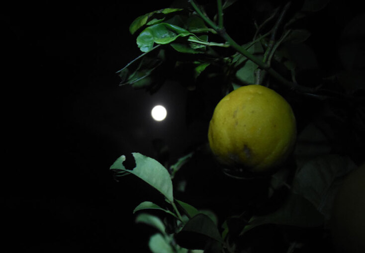 Ροζ υπερπανσέληνος 