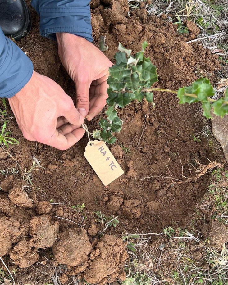 Ο σχεδιαστής Χάιντερ&nbsp;Άκερμαν&nbsp;και ο Τιμοτέ Σαλαμέ φορούν το hoodie που σχεδίασαν μαζί