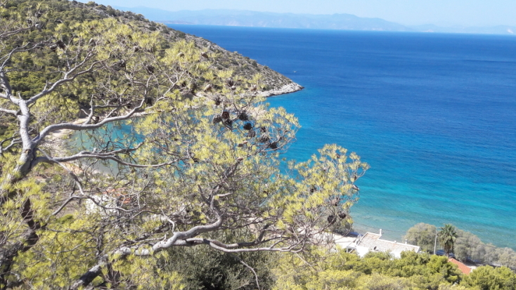 Κανάκια Σαλαμίνας