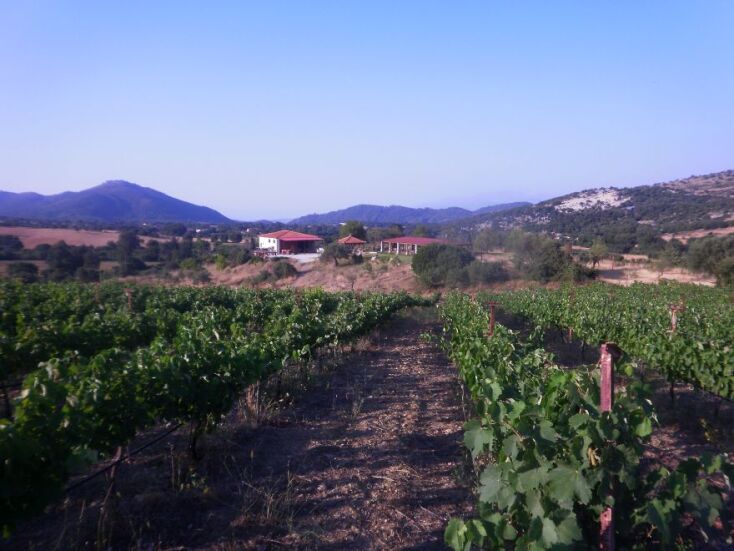 Sant’Or Winery, Σαντομέρι Αχαΐας
