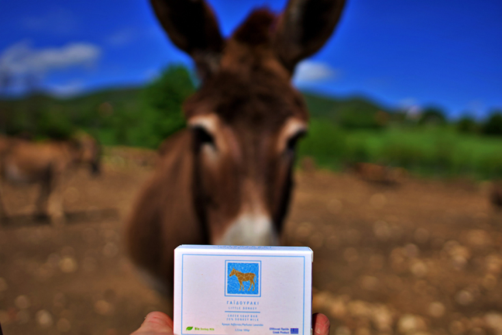 Meet Your Makers: Ο Γιώργος Τσιχουρίδης παράγει στην Κοζάνη γάλα γαϊδούρας 