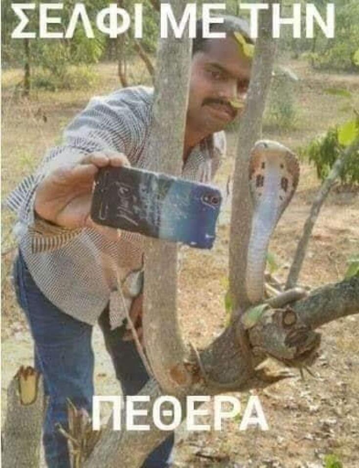 selfi.jpg