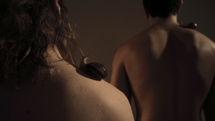 «SISS / PHUSS: while you carry time our bodies hold history»