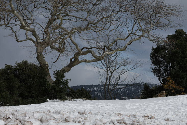 Χιόνια στην Πάρνηθα
