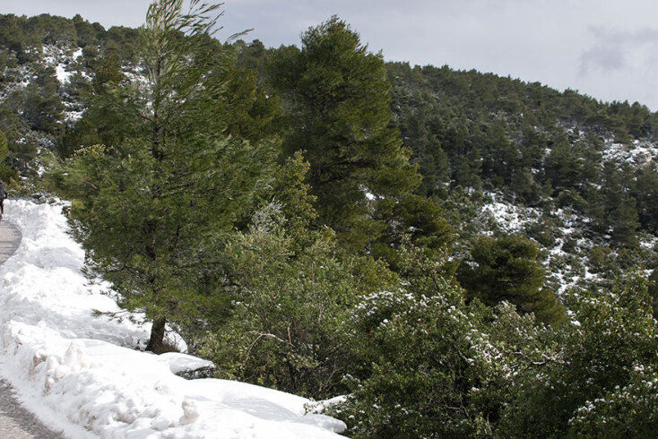 Χιόνια στην Πάρνηθα