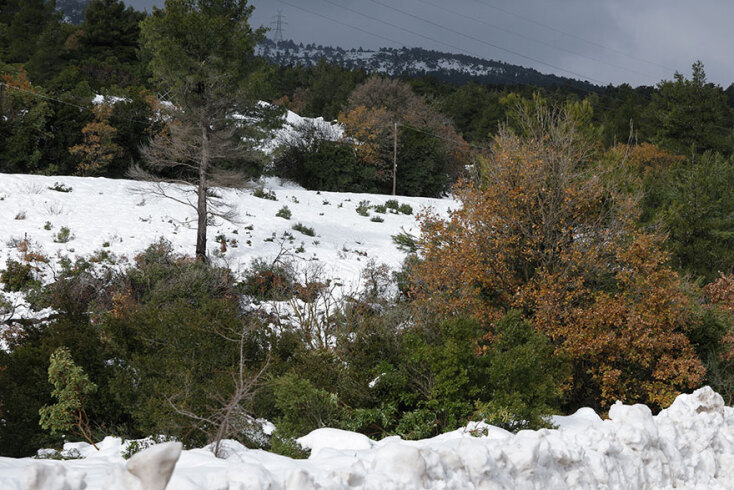 Χιόνια στην Πάρνηθα