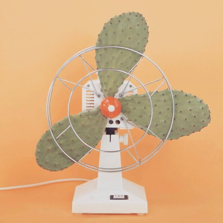Table fan