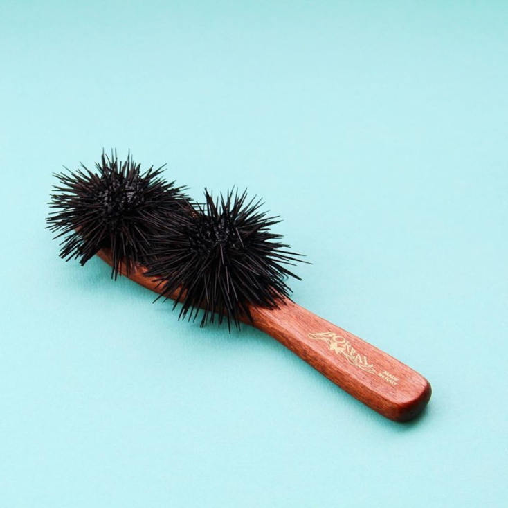 Sea urchin hairbrush