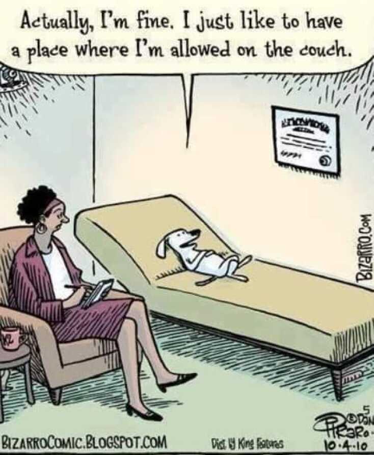 Αστεία memes, ατάκες, YOLO βίντεο, virals που ανέβηκαν στο διαδίκτυο και μας έκαναν να γελάσουμε