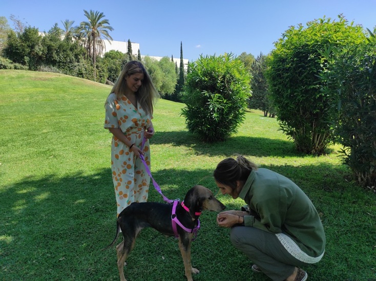 Η Μυρτώ Ξανθοπούλου, αντιπρόεδρος της Stray.gr με την Ελπίδα και την Κατερίνα.