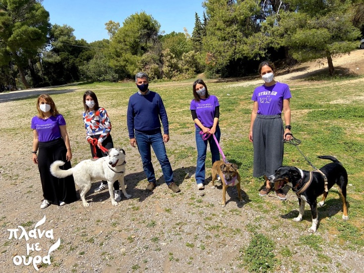 Από δραστηριότητα της Stray.gr.
