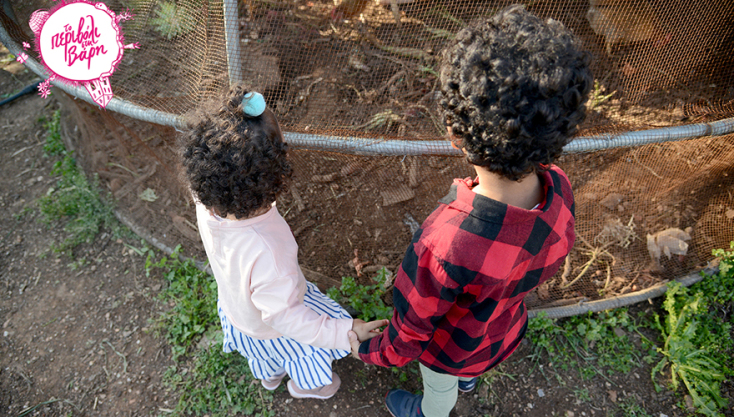 Το περιβόλι της Βάρης