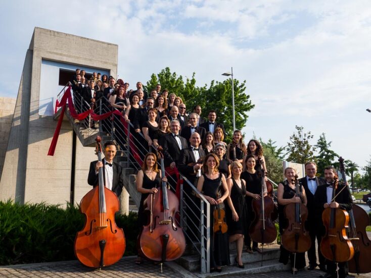 53Α ΔΗΜΗΤΡΙΑ