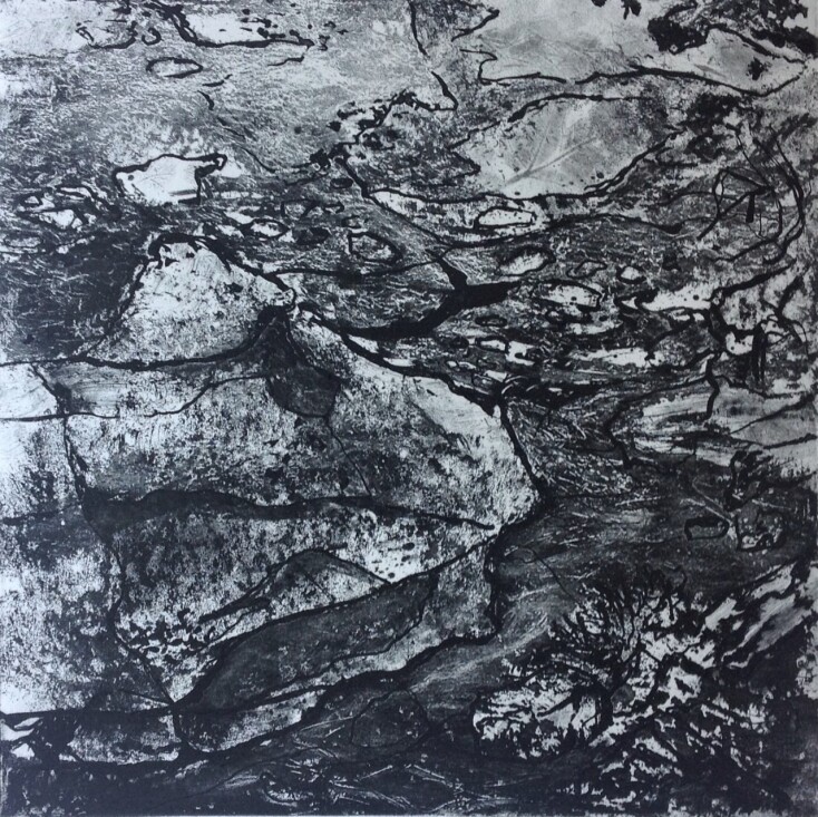 Τάνια Δρογώση 