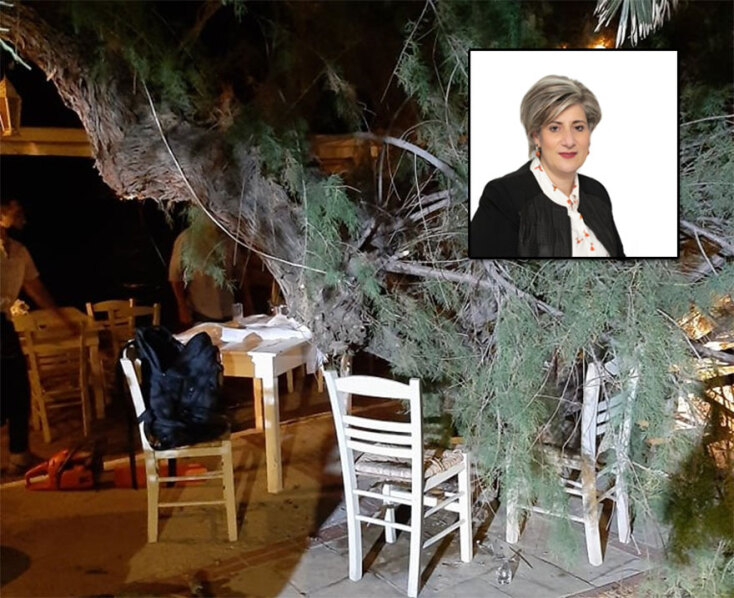 Το κλαδί από δέντρο που έπεσε σε ταβέρνα στη Μυτιλήνη - Ένθετη: Η αντιδήμαρχος Δήμητρα Αλεξανδρή
