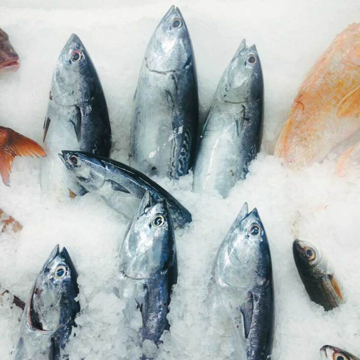 Η ταβέρνα του Μανώλη